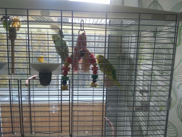 ����� � ������� ���� ���� ��������� ��������.