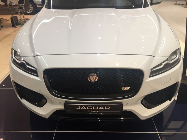   F-pace, , , , Jaguar