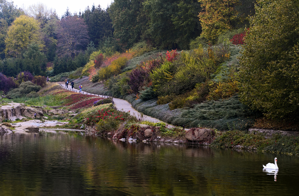 Autumn in Sofiyivka - My, Uman, Photo