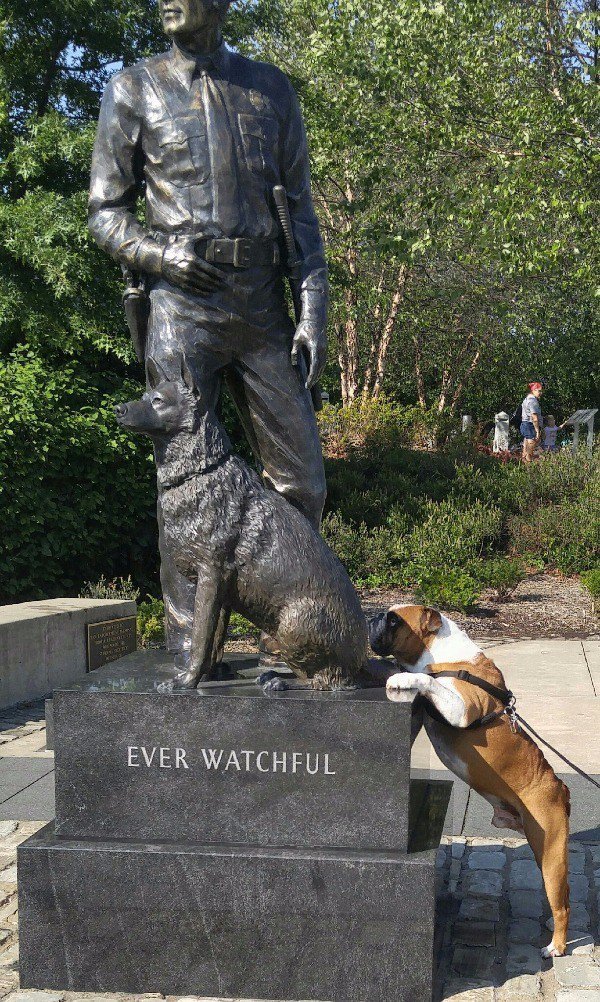 ������ ��������