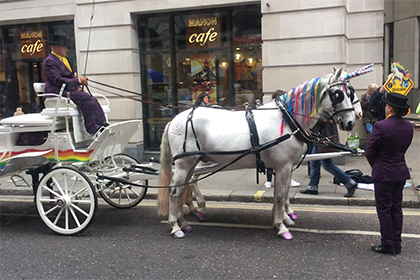 Fake unicorns in London - London, Unicorn, Humor, Advertising