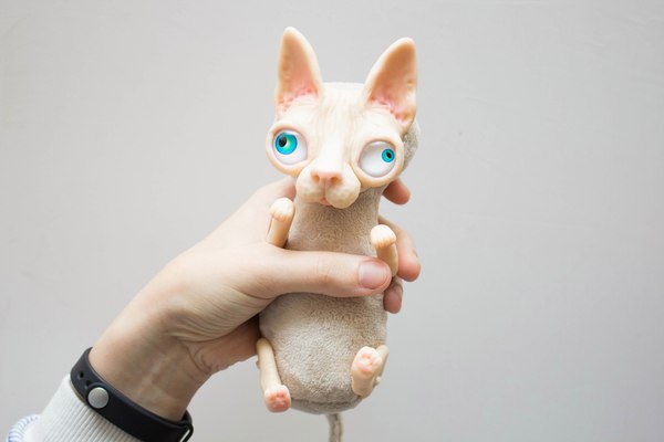 Kotey Tsarapkin or Guess where I'll scratch) - My, My, Sphinx, Author's toy, Polymer clay, With your own hands, Handmade, cat