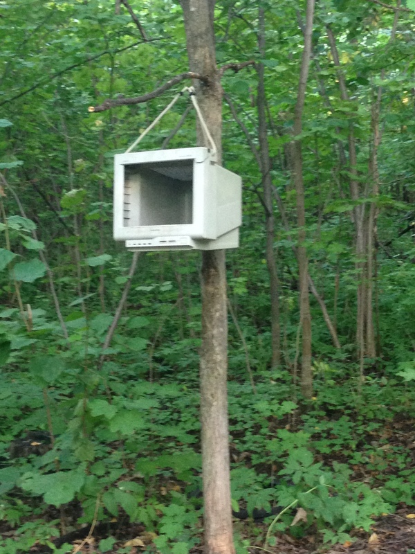 �������� IT�����