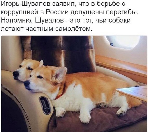 Come up with a title yourself. - Shuvalov, Corruption, Dog