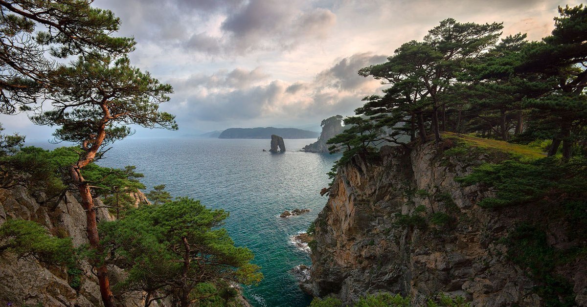 Приморский край фото. Морской заповедник Владивосток. Дальневосточный морской заповедник Приморский край природа. Дальневосточный морской заповедник Ботанический сад. Бухта теляковского Владивосток.