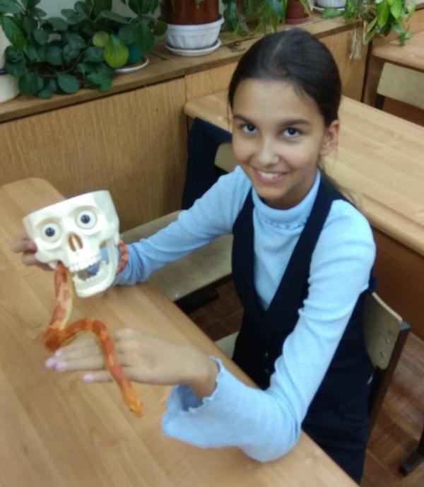 ���������� ������� (���������� ������)!