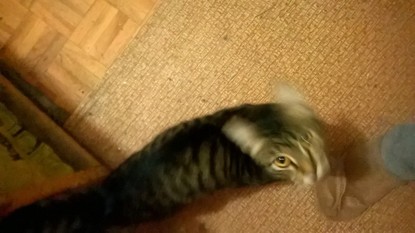 !    () , , , 