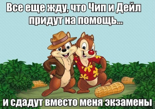 Before the session... - Session, Life is pain, Vital, Exam, , , Humor, Chip and Dale