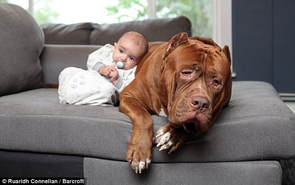 лукашенко у меня собачья доля. Смотреть фото лукашенко у меня собачья доля. Смотреть картинку лукашенко у меня собачья доля. Картинка про лукашенко у меня собачья доля. Фото лукашенко у меня собачья доля лукашенко у меня собачья доля. Смотреть фото лукашенко у меня собачья доля. Смотреть картинку лукашенко у меня собачья доля. Картинка про лукашенко у меня собачья доля. Фото лукашенко у меня собачья доля