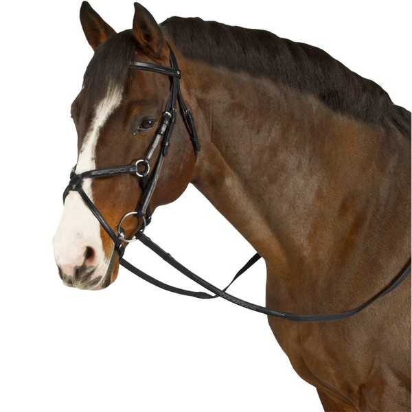 Horse controls - My, Horses, , Longpost, Equestrian Club, Interesting