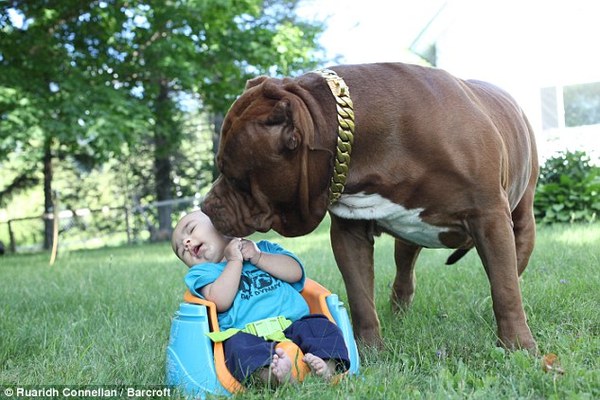 лукашенко у меня собачья доля. Смотреть фото лукашенко у меня собачья доля. Смотреть картинку лукашенко у меня собачья доля. Картинка про лукашенко у меня собачья доля. Фото лукашенко у меня собачья доля лукашенко у меня собачья доля. Смотреть фото лукашенко у меня собачья доля. Смотреть картинку лукашенко у меня собачья доля. Картинка про лукашенко у меня собачья доля. Фото лукашенко у меня собачья доля