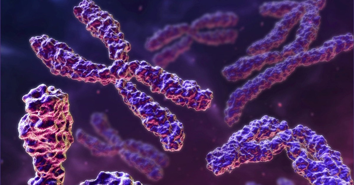 Наследственные заболевания связанные с хромосомами. ДНК И хромосомы. Хромосомы фото. Генетика хромосомы. Хромосомы под микроскопом.