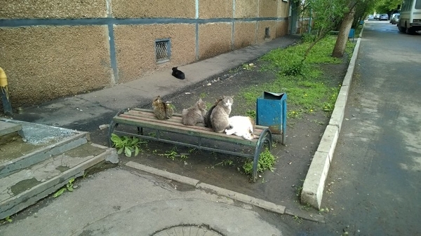 � ����� � ������ �� �����..