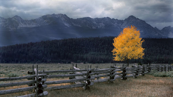 Autumn in Banff National Park, Alberta, Canada. - Photo, Landscape, Autumn, Canada, banff