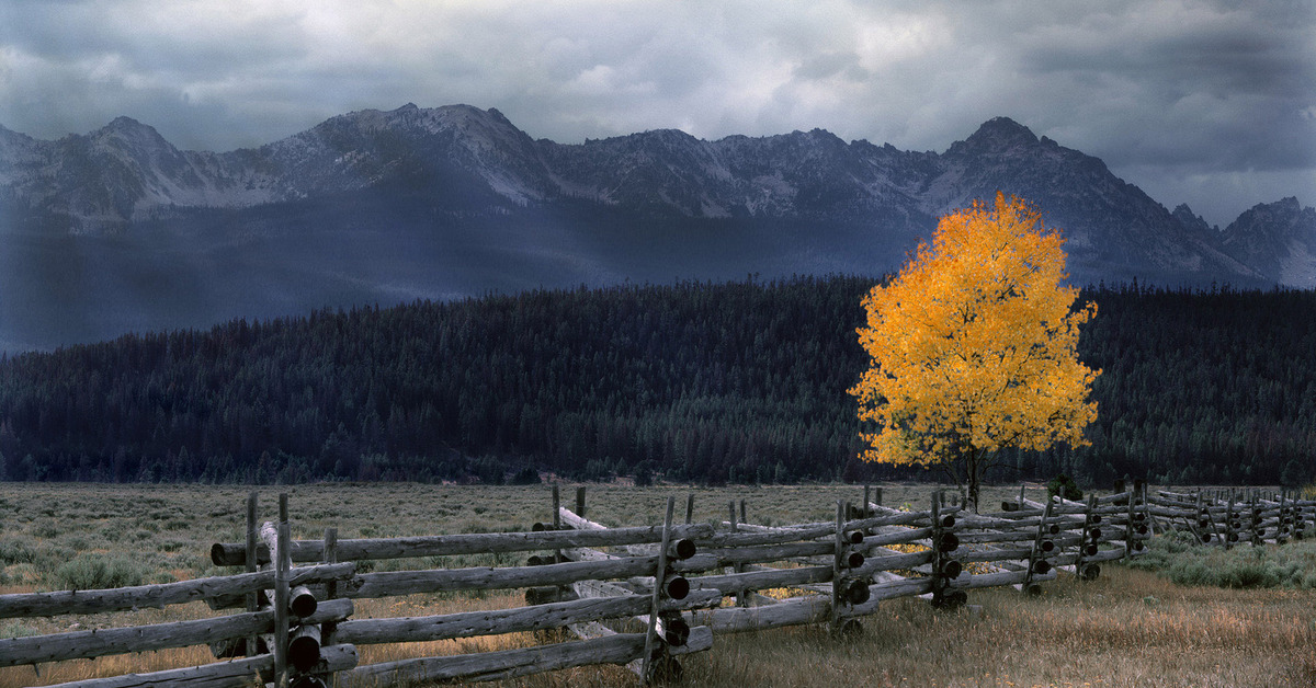 Nature grey. Пасмурная осень в горах. Поздняя осень в Скандинавии. Серая осень в горах. Осень в Айдахо.