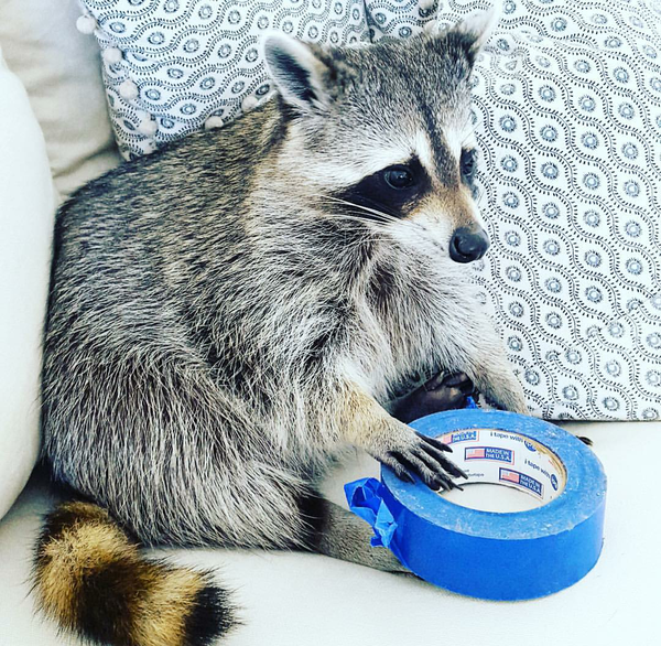 ��, �����, ��������