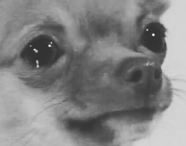 То чувство когда за окном ноябрь, а уже лежит снег... (С Праздником пикабу!)