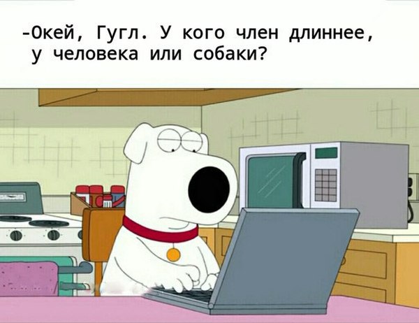 Ok google! - NSFW, Family guy, Brian Griffin, Humor, Ok google