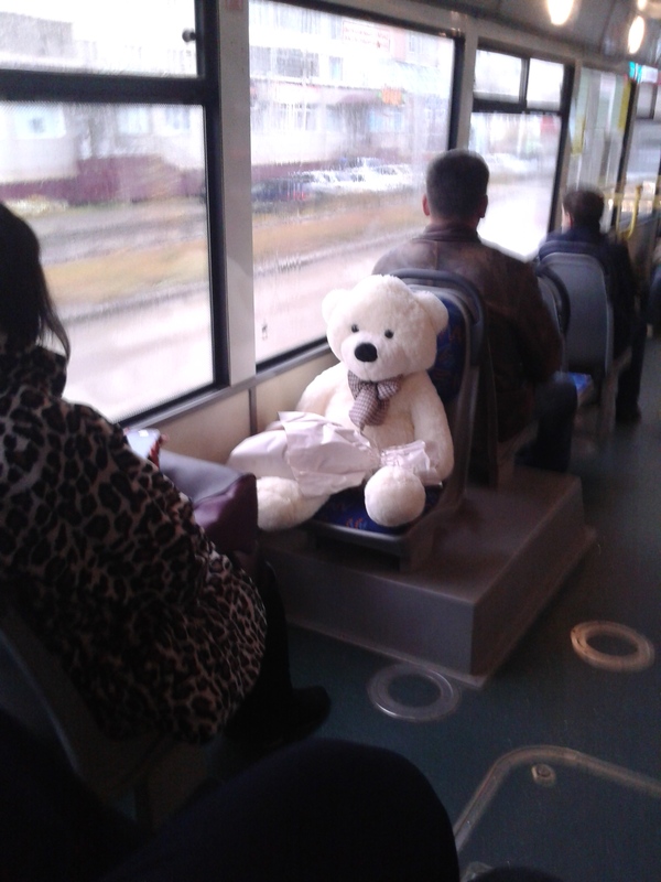 Bear - My, The Bears, Bus