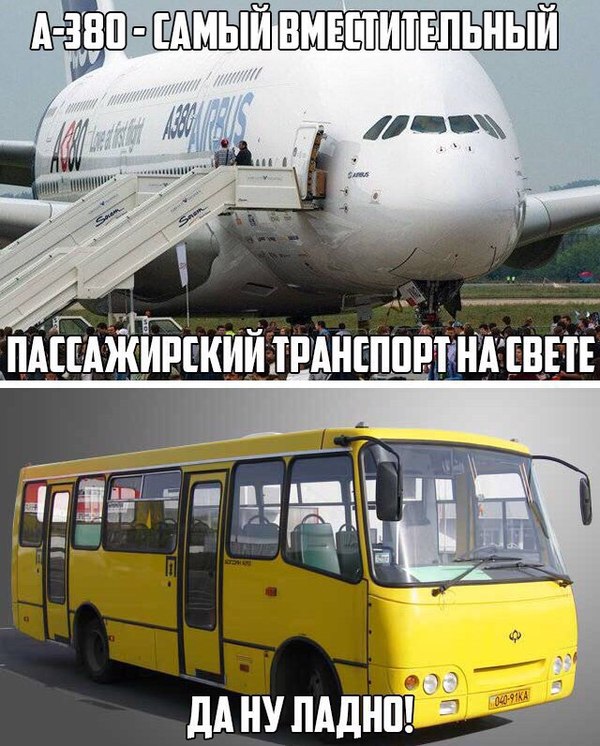 Can not argue with that - Transport, Bus, Airplane