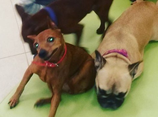 ����� �����, ��� ���� �������������