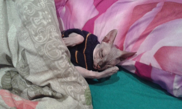 Пикабучане Минска.