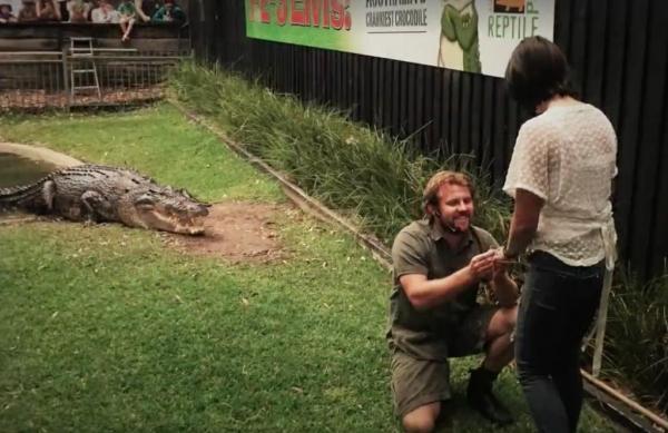 Man proposes to girlfriend in crocodile enclosure - news, Longpost, Love, Crocodile, Sentence, Interesting, Crocodiles