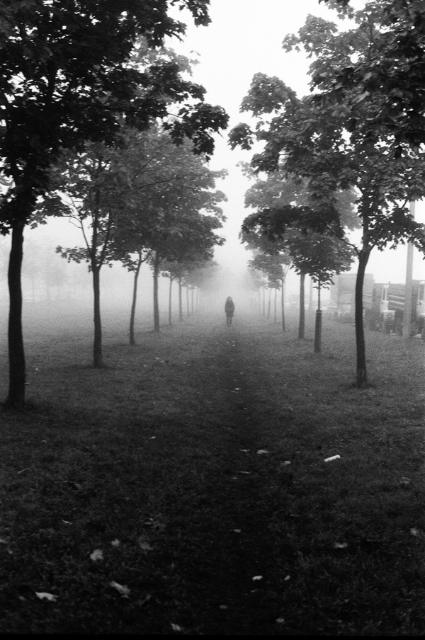 October mist - My, Fog, Saint Petersburg, Leningrad, The photo, Photographer, camera roll, Black and white photo, Longpost