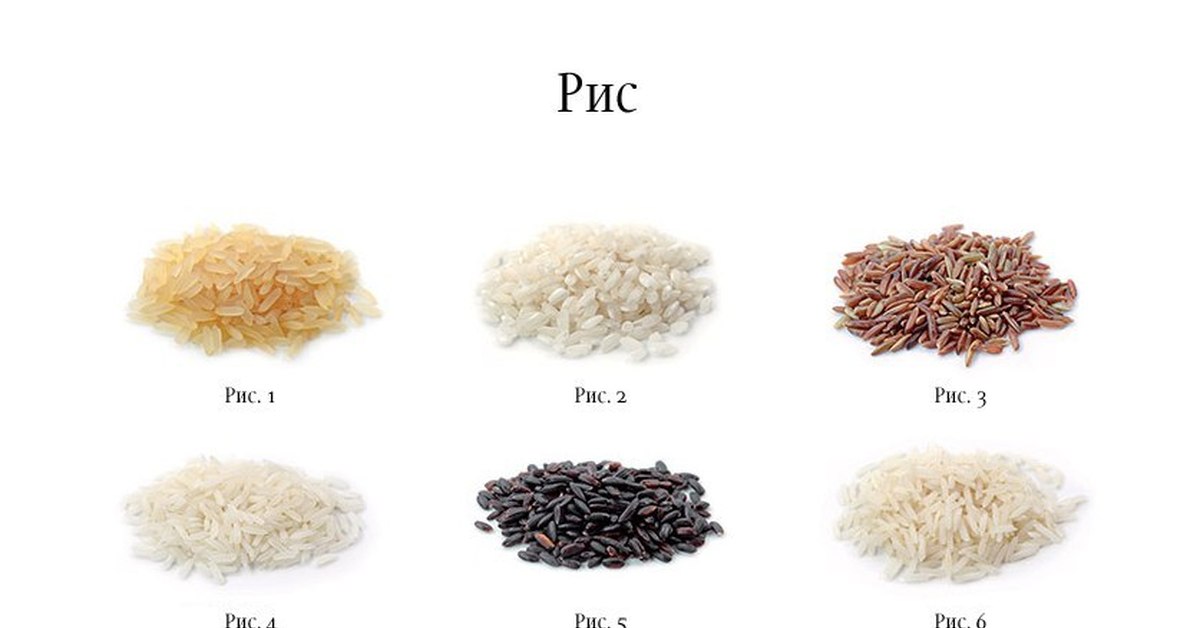 Различие риса. Рис бывает разных видов. Сорта риса. Разные сорта риса. Сорта риса названия.