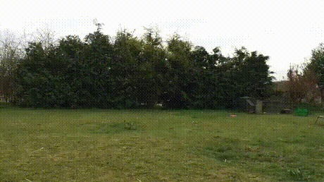 Только не это