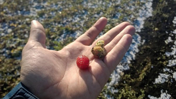 � ����� � ������