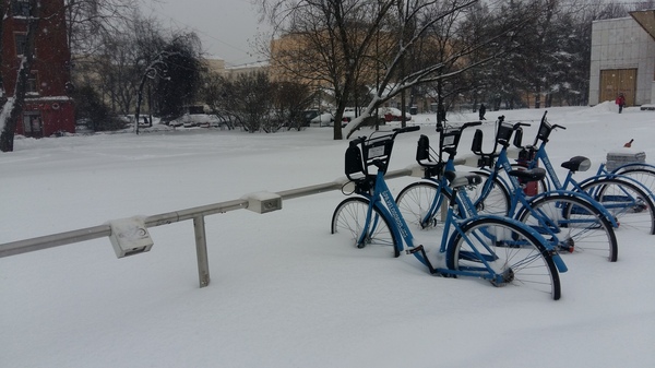 Why are bicycles not popular in Russia?! - My, Snow, , A bike, Saint Petersburg