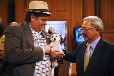 Cute dog becomes mayor of San Francisco - San Francisco, USA, America, Mayor, Chihuahua, Longpost