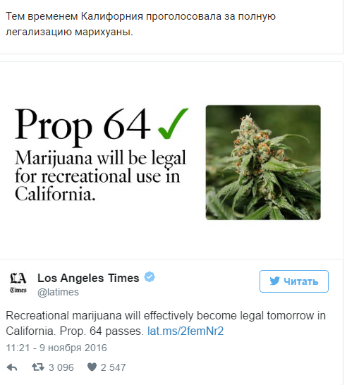 Sly Californians do things on the sly - US elections, California, Shmal, Marijuana