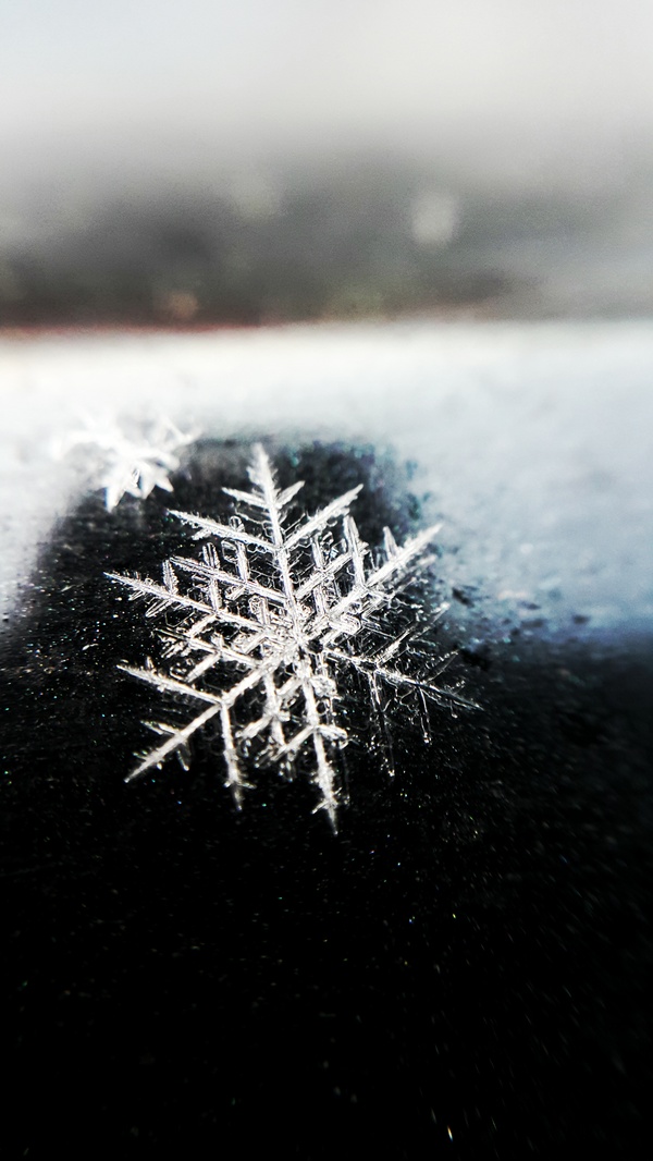The winter is coming - My, Without processing, No filters, My, Telephone, Macro, Macro photography
