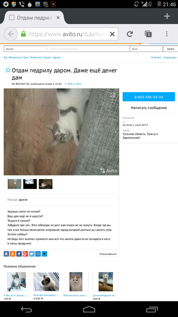 Авито. Как избавится от кота.