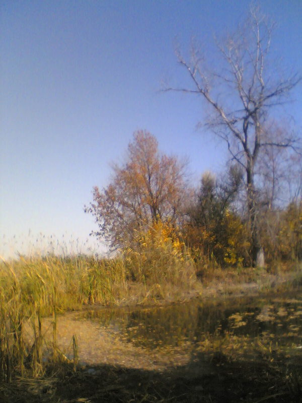 Volga-Akhtuba floodplain. - My, Autumn, Photo, Landscape, Floodplain, Longpost, Portrait, Fisherman