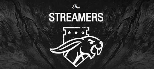 Website for streamers and viewers The Streamers - Text, Streamer, , Site, Spectators, Стрим, Streamers, Youtube, My