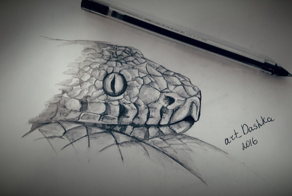 ����. ��������