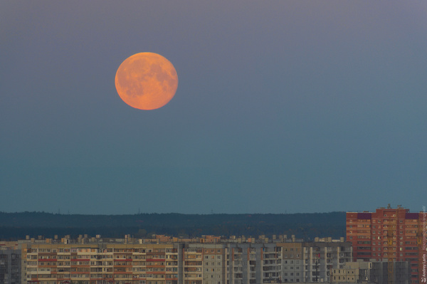 Supermoon November 14 - My, moon, Astronomy, Sky, Events, Observation, Space, Video