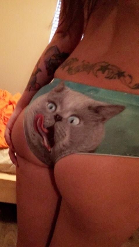 It seemed) - NSFW, cat, Booty, Underpants