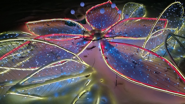 ����� �� ���������� ��������