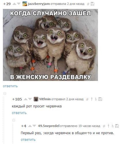 Oh those comments :) - Comments, Humor, Owl, Worm, Female, Dressing room, , Accident, Women