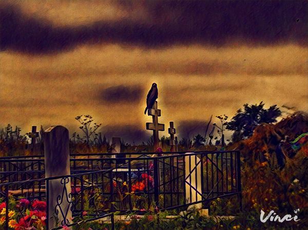 An ordinary photograph of a Russian cemetery in a filter - My, Cemetery, Photo Filters, Photo