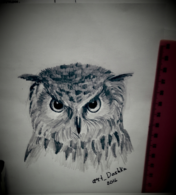 ����� �� ����� ������������. �������� "����")