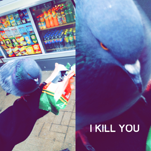 Удачный кадр