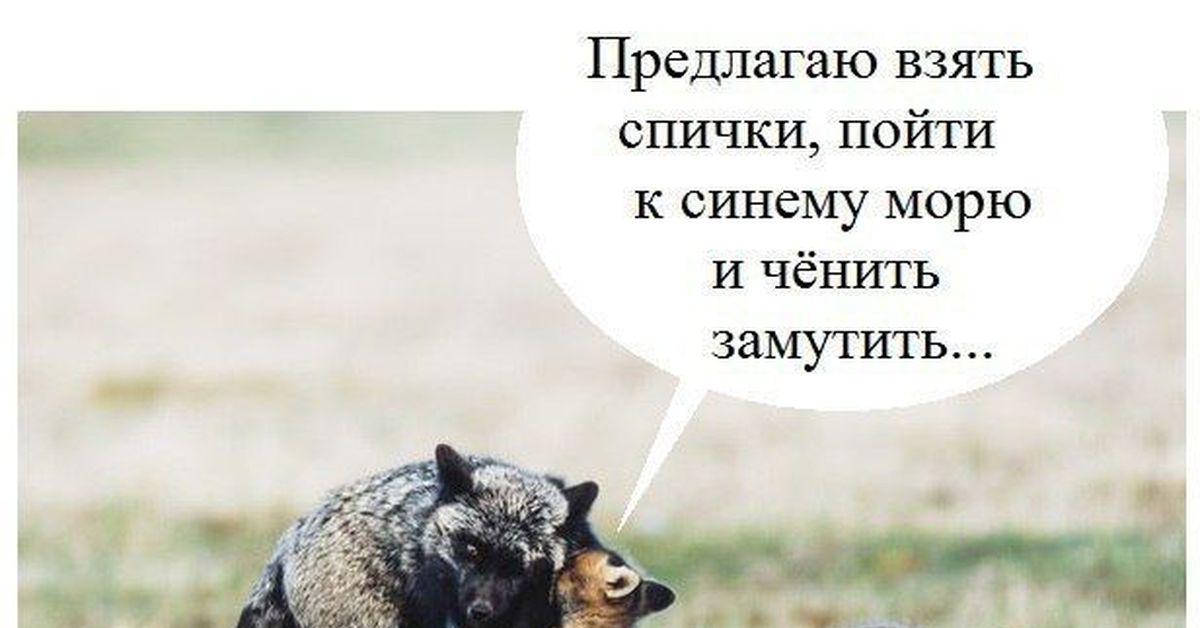 Что нибудь возьмем. Предлагаю взять спички. Предлагаю взять спички пойти к синему. Предлагаю взять спички пойти. Картинка замутим.