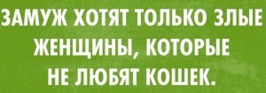 О бестактности - Психология, Осознанность, Самокритика