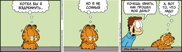 From the life of Garfield - Comics, Garfield, Sarcasm, Thoughts, cat