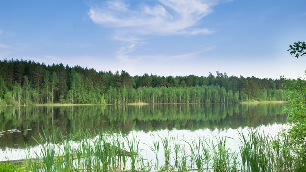 Lake Svetloe - My, Lake, dawn, Starry sky, Landscape, Light, Zavolzhye, Chuvashia, Longpost